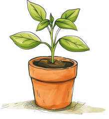 Wall Mural - Small plant in a pot