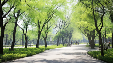 Wall Mural - Serene Spring Park Pathway with Greenery