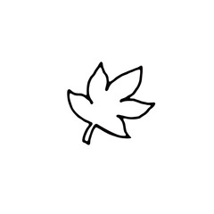 maple leaf_1