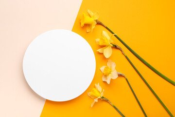 Wall Mural - Beautiful narcissus and round blank card on color background