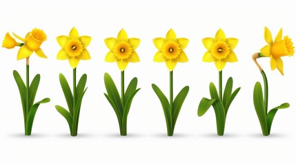 Wall Mural - Bright and cheerful daffodil clipart collection featuring vibrant vectors and icons on a clean, white background.