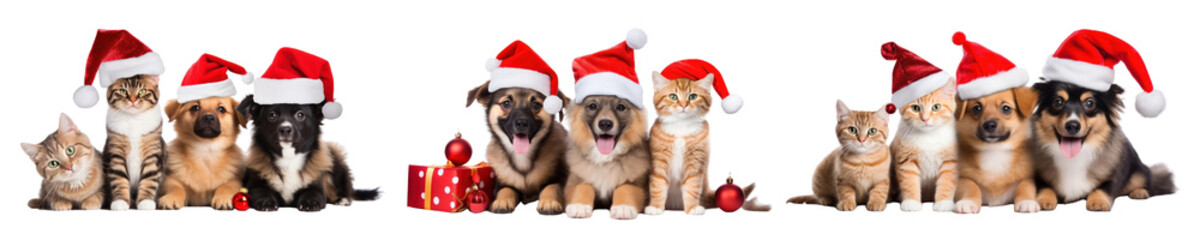 Poster - Cute cat and dog wearing Santa outfit png cut out image set