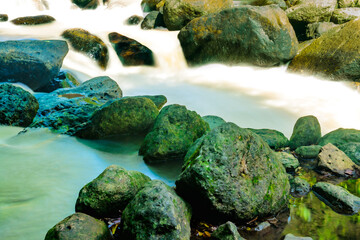 Wall Mural - Water flowing through rocks covered by moss in nature at Thailand.