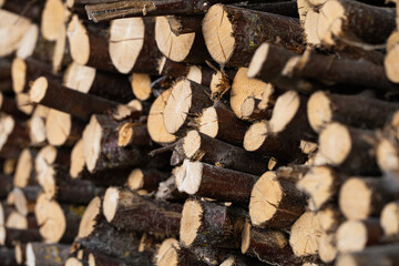 a pile of firewood for the barbecue