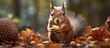 © waliyah - portrait of a red squirrel in autumn leaves eating cola seeds