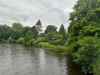 Canvas Print - Picturesque view of canal among trees outdoors