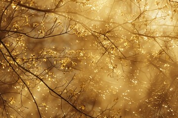 Poster - Golden sunlight filters through the branches of a tree, Golden sunlight filtering through branches