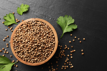 Wall Mural - Dried coriander seeds in bowl and green leaves on dark gray textured table, flat lay. Space for text