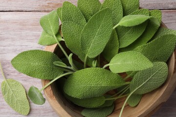 Wall Mural - Green sage leaves in bowl on color wooden table, top view