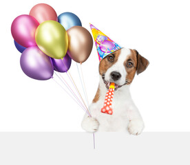 Poster - Funny jack russell terrier puppy wearing party cap holding balloons, blowing in party horn and looking above blank white banner. isolated on white background