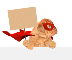 Wall Mural - Funny Mastiff puppy wearing superhero costume holding blank banner mock up on wood stick and looking above empty white banner. Isolated on white background