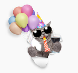 Aufkleber - Happy cat wearing party cap blows in party horn and looks through a hole in white paper, holds balloons and glass of red wine