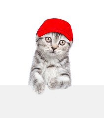 Poster - Cute kitten wearing red cap looks above empty white banner. isolated on white background