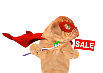 Poster - Happy Mastiff puppy wearing superhero costume showing signboard with labeled 