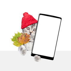 Poster - Funny kitten wearing warm hat with pompon holds dry autumn leaves and shows smartphone with white blank screen in it paw above blank white banner. isolated on white background