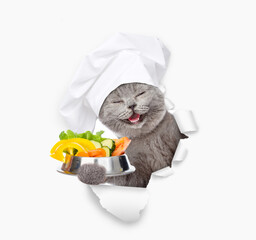 Wall Mural - Happy cat wearing chef's hat holds bowl of vegetables  and looks through the hole in white paper