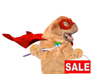 Poster - Happy Mastiff puppy wearing superhero costume showing signboard with labeled 