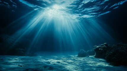 Sticker - In this mesmerizing underwater scene, sunbeams inspire a magical effect of light and shadows. The image captures the tranquility and beauty of the ocean depths.