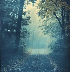 Poster - Color filter effect used for this autumn forest road. Fantasy colored woodland with fog and blue-green foliage.