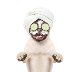 Fototapete - Funny pug puppy with towel on it head with cream and slices of cucumber on his face. isolated on white background