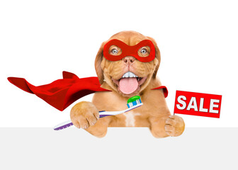 Poster - Happy Mastiff puppy with big funny teeth wearing superhero costume showing signboard with labeled 