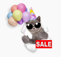 Aufkleber - Funny kitten wearing party cap and sunglasses looks through a hole in white paper, holding balloons and showing signboard with labeled 