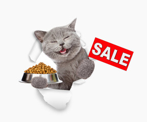 Poster - Happy kitten looking through the hole in white paper and holding bowl of dry pets food and holding signboard with labeled 