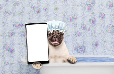 Leinwandbilder - Happy Mastiff puppy wearing shower cap takes the bath shows big smartphone with white blank screen in it paw. Empty space for text