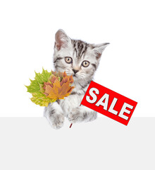 Canvas Print - Cute kitten holds dry leaves and shows signboard with labeled 