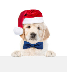 Aufkleber - Cute Golden retriever puppy wearing santa hat and tie bow looks above blank white banner. isolated on white background