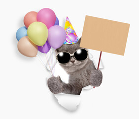 Poster - Cute kitten wearing sunglasses and party cap looking through the hole in white paper, holding balloons and showing blank placard