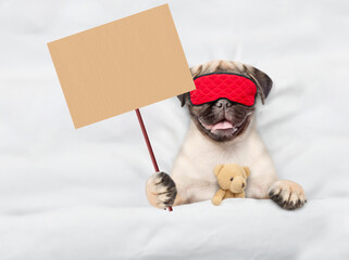 Poster - Pug puppy wearing sleeping mask sleeps with toy bear under white blanket on a bed at home and shows blank placard. Top down view