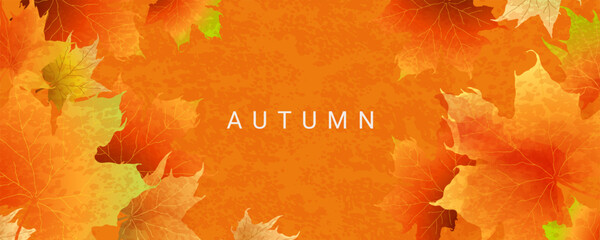 Wall Mural - autumn abstract banner with bright beautiful maple leaves. fall art background, poster, cover or fly