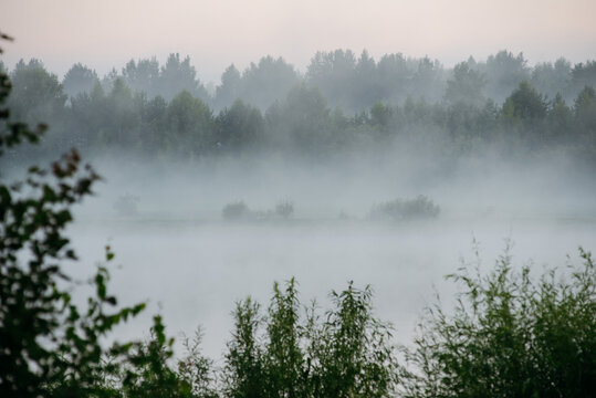 morning fog in the river