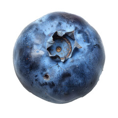Poster - single blueberry isolated on white showing the details of the fruit