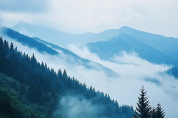 Wall Mural - The mountains are covered in fog and trees. The sky is blue and the mountains are in the background