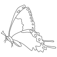 Poster - Butterfly png line art, transparent background