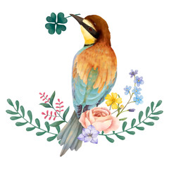 Wall Mural - Watercolor bird sticker png botanical drawing clipart