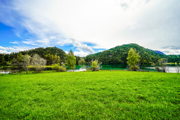 Wall Mural - Landscape at Hintersteiner See near Scheffau in Tyrol. Idyllic nature at the mountain lake in the Wilder Kaiser nature reserve in Austria.
