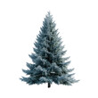 © Sona - Isolated Fir Tree on transparent background