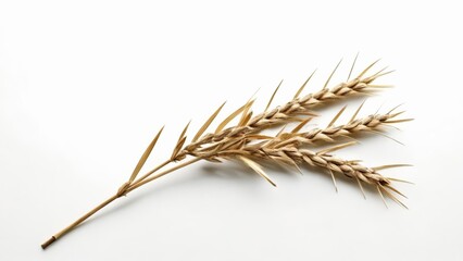  Golden wheat sheaves symbolizing harvest and abundance