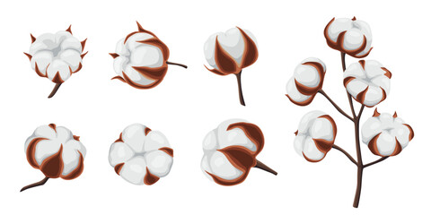 Wall Mural - cotton flowers on a white background.Vector illustration cartoon style