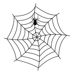 linear hand drawing of a spider web for halloween. hand-drawn prints and doodles for holiday postcar