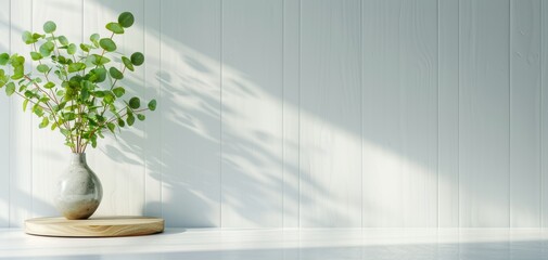 Aufkleber - A serene indoor scene featuring a green plant in a vase on a simple table, enhanced by soft natural light and shadows.
