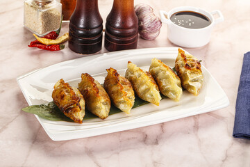 Wall Mural - Fried Japanese stuffed dumplings - Gyoza