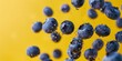 © Da - Falling Black Beans Isolated on Vibrant Yellow Background: Nutritious Legume Showcasing Fiber-Rich, Protein-Packed Wholesome Food. Perfect for Health-Conscious Marketing, Plant-Based Diet Advertising,