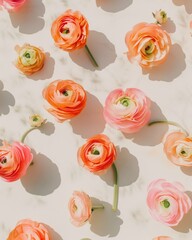 Aufkleber - Bright Pastel Ranunculus Pattern on Soft Beige Background Evoking a Sunny Day