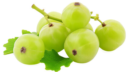 Fototapete - amla groups isolate is on transparent background