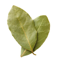 Two bay leaves cut out on white background.