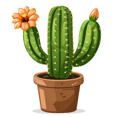 Wall Mural - Set of Green cactus plants, brown pots with flower illustration on transparent background